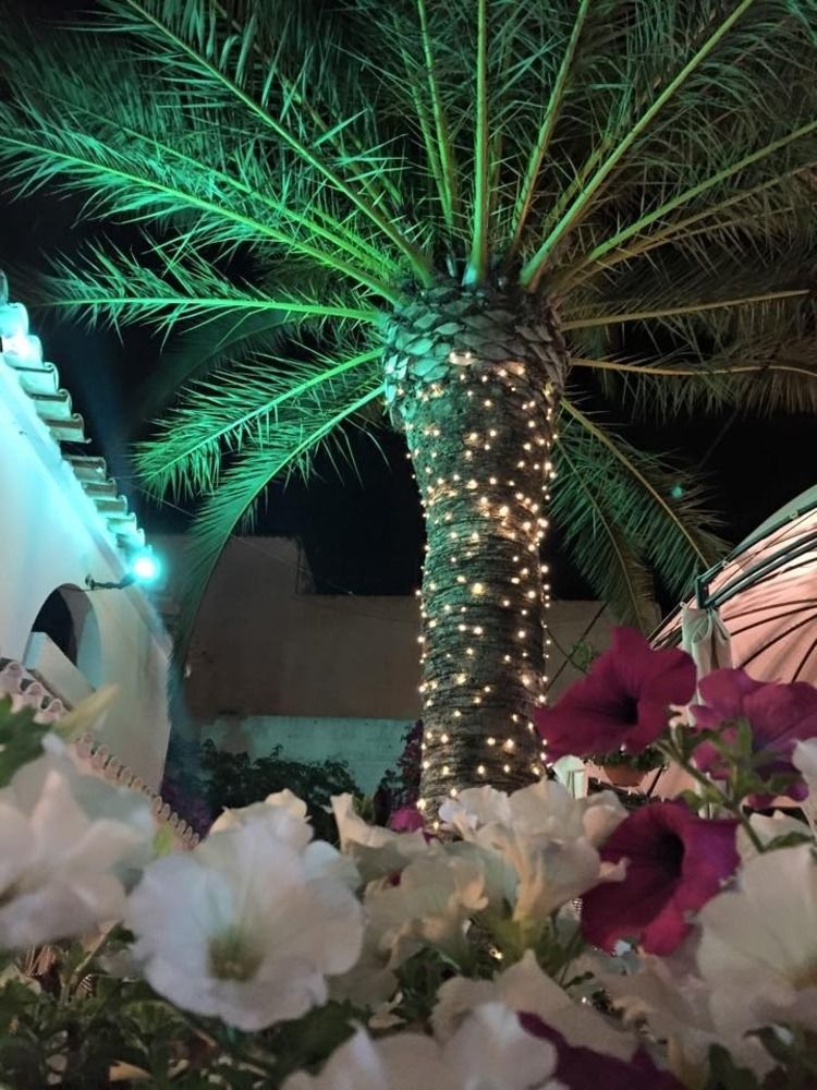 Hotel Antares Cala d'Or  Bagian luar foto